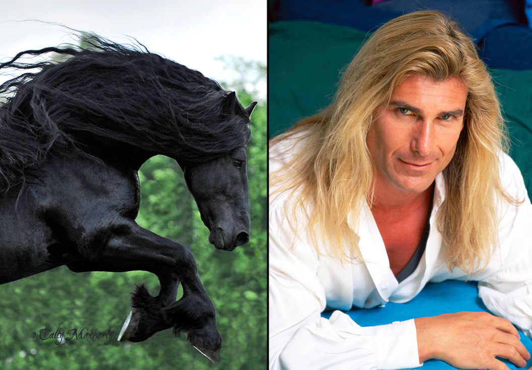 Horse 795faa97 7b55 4cae 93bd f036c0a9210c