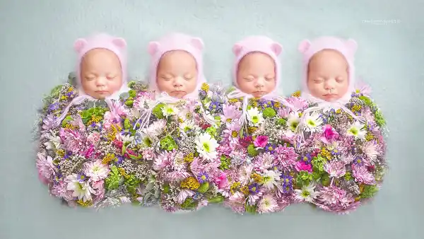 Identical quadruplets