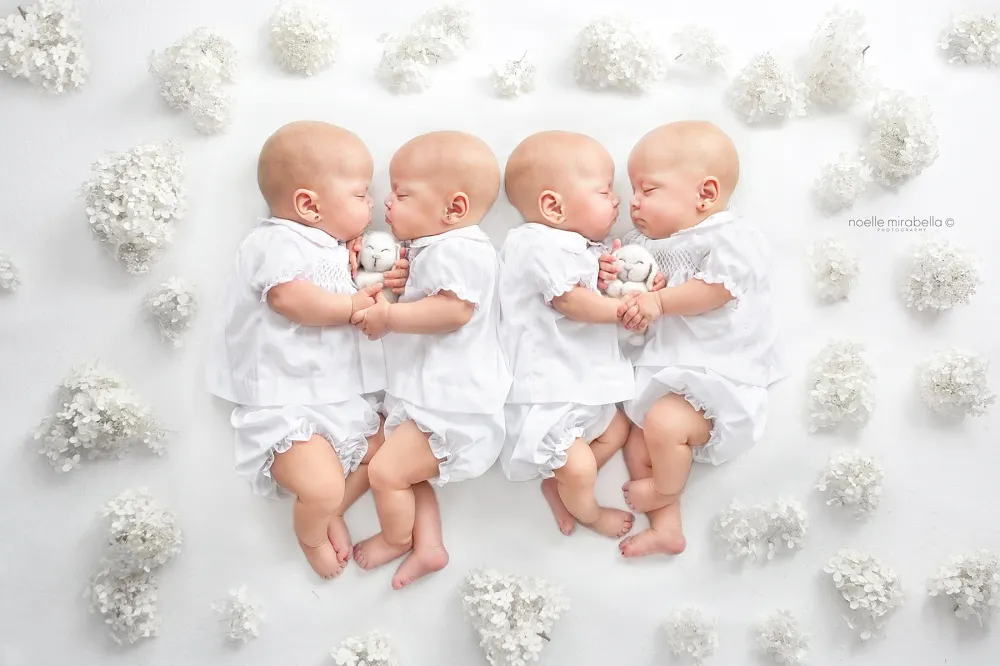 identical quadruplets