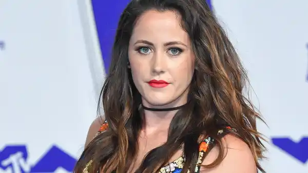 Jenelle Evans, 2017 MTV Video Music Awards, Custody Filing