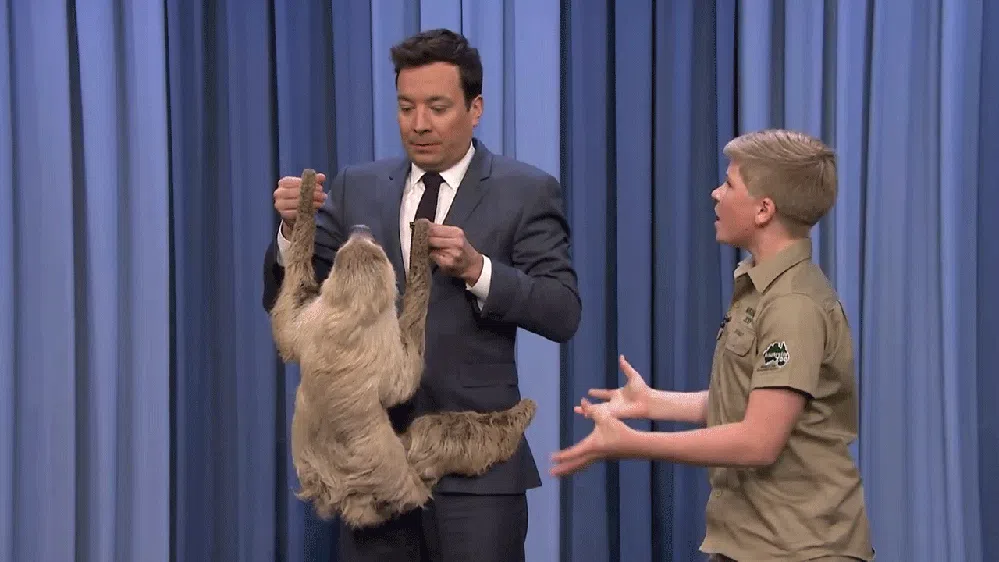 Jimmy Fallon Robert Irwin Sloth
