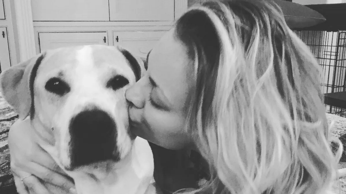 Kaley pit e22c1437 c9f6 4769 b9b5 05c4da348b12