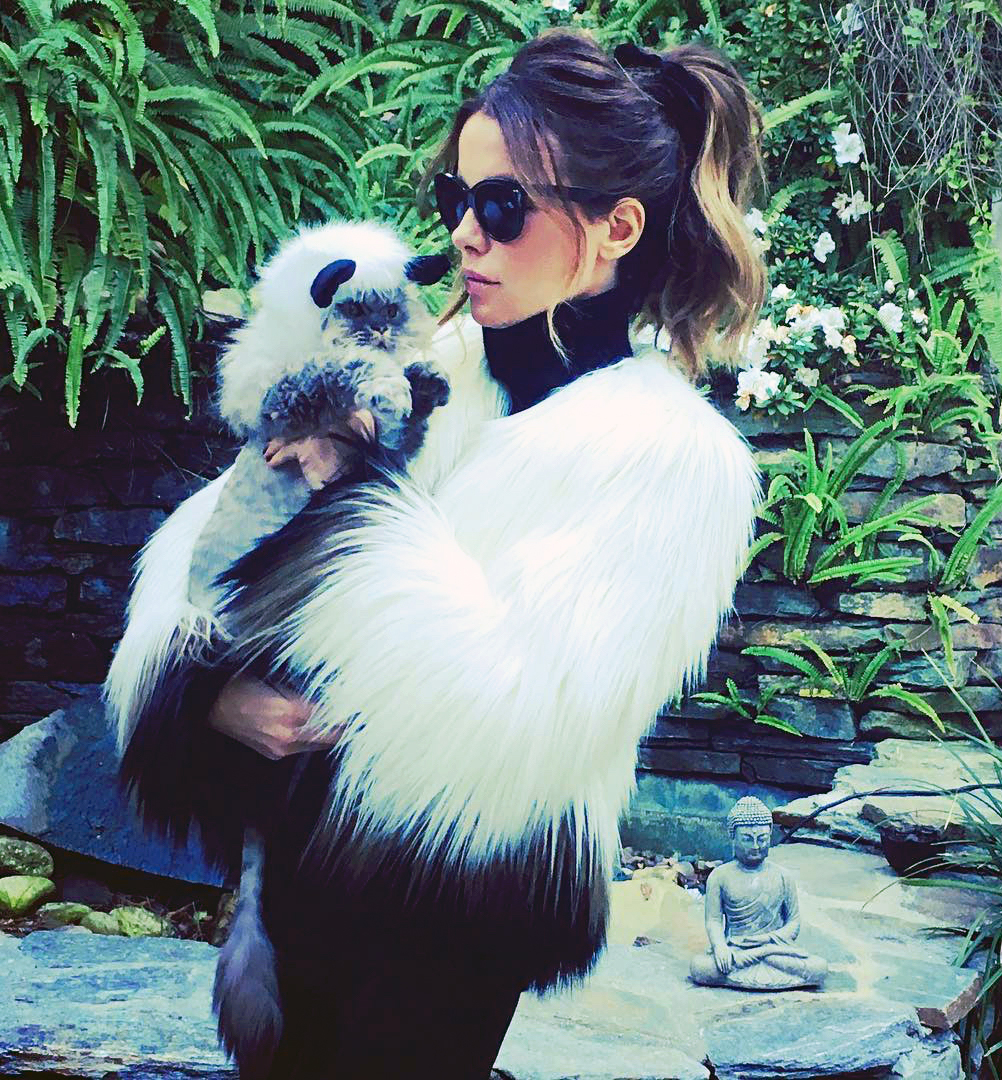 Kate Beckinsale Cat