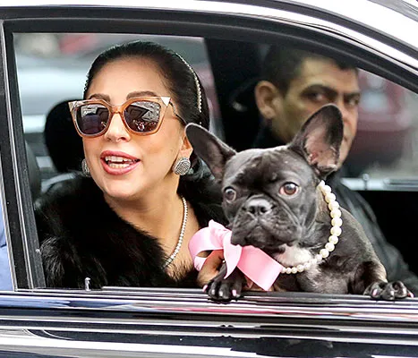 Lady Gaga and Asia - car