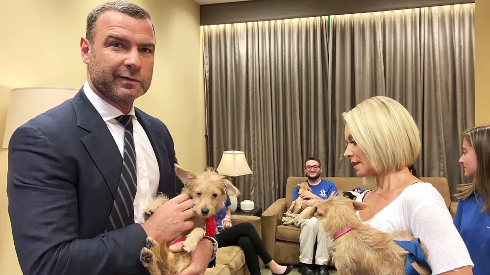 Liev Schrieber Kelly Ripa puppies hurricane