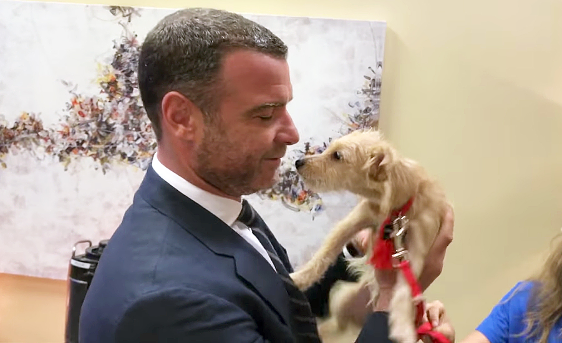Liev Schrieber puppy hurricane