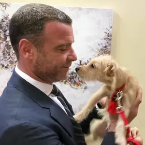 Liev Schrieber puppy hurricane