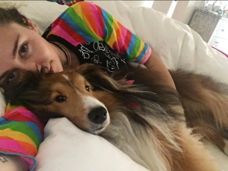 Miley cff8bf83 c85d 4e5c aa04 0e3817a388f6