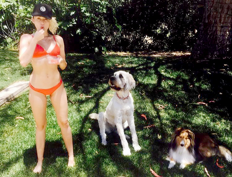 Miley cyrus and dogs badfd8ca d262 4445 9da8 cf3e707961ac