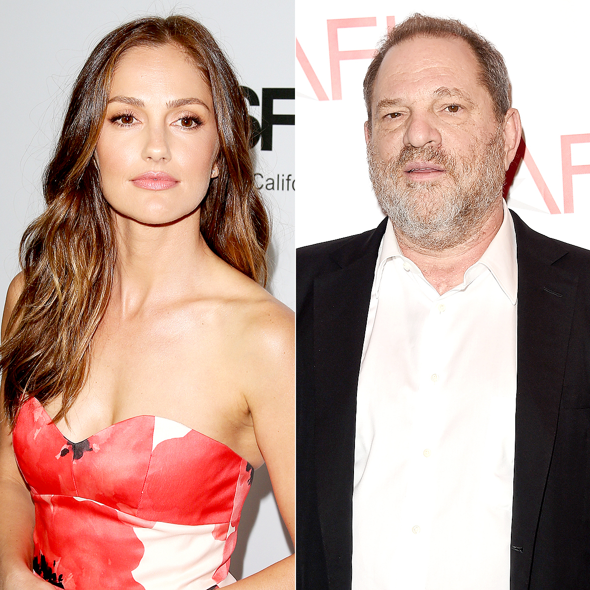 Minka Kelly and Harvey Weinstein