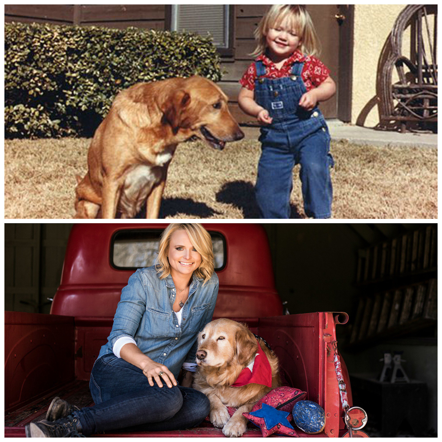 Miranda lambert 7c95964b 6b51 45dd b1d7 486d0f2d474e