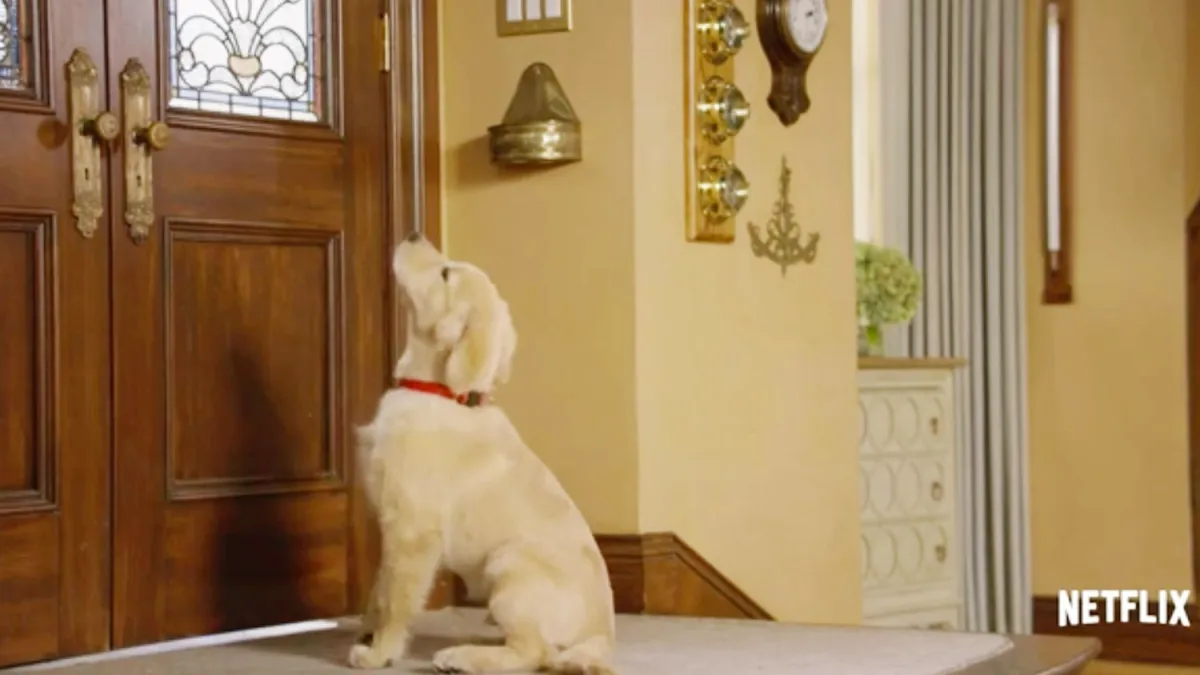 New comet zoom cdffa5d5 7cb4 4696 a605 9081c9e234d6