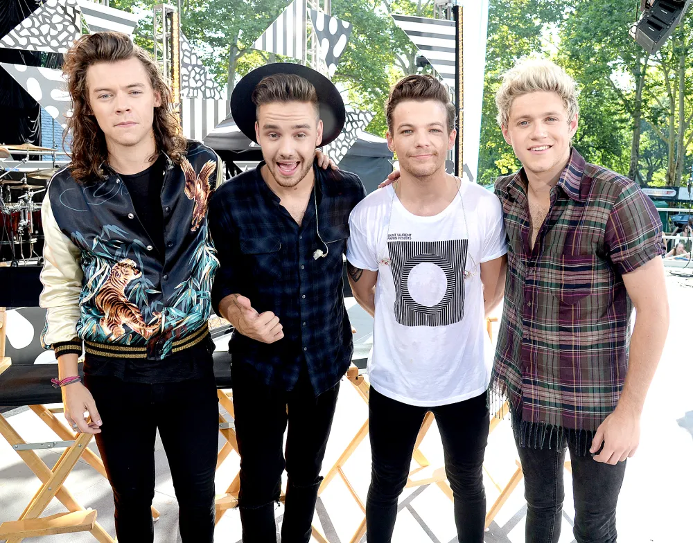 Harry Styles, Liam Payne, Louis Tomlinson and Niall Horan of One Direction pose onstage during ABC's