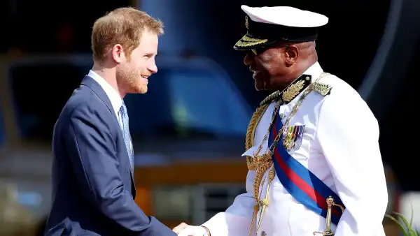 Prince harry handshake zoom 98f2233e cb96 44d8 906e fbd1f3fed755