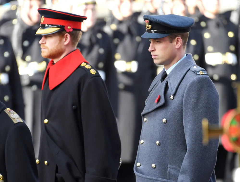 Prince Harry, Prince William