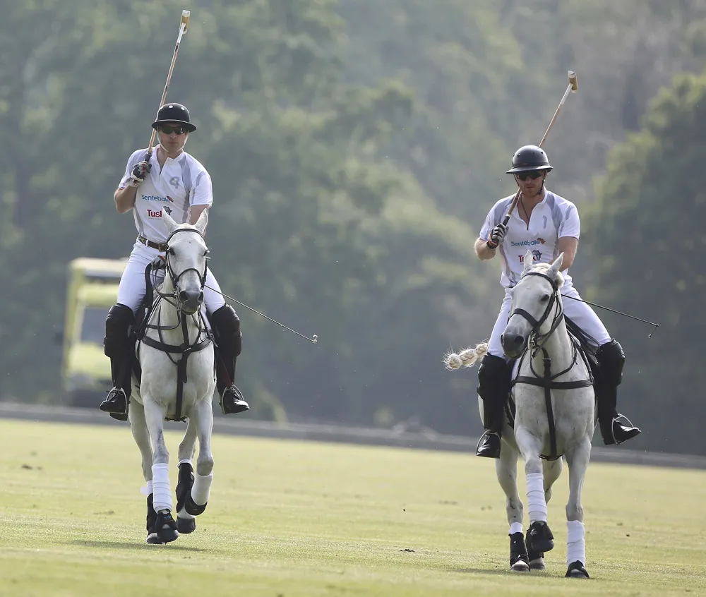 Prince William and Prince Harry