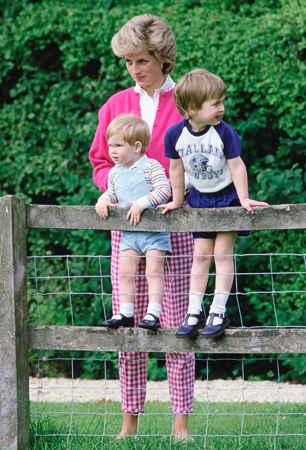 Princess Diana, Prince William and Prince Harry