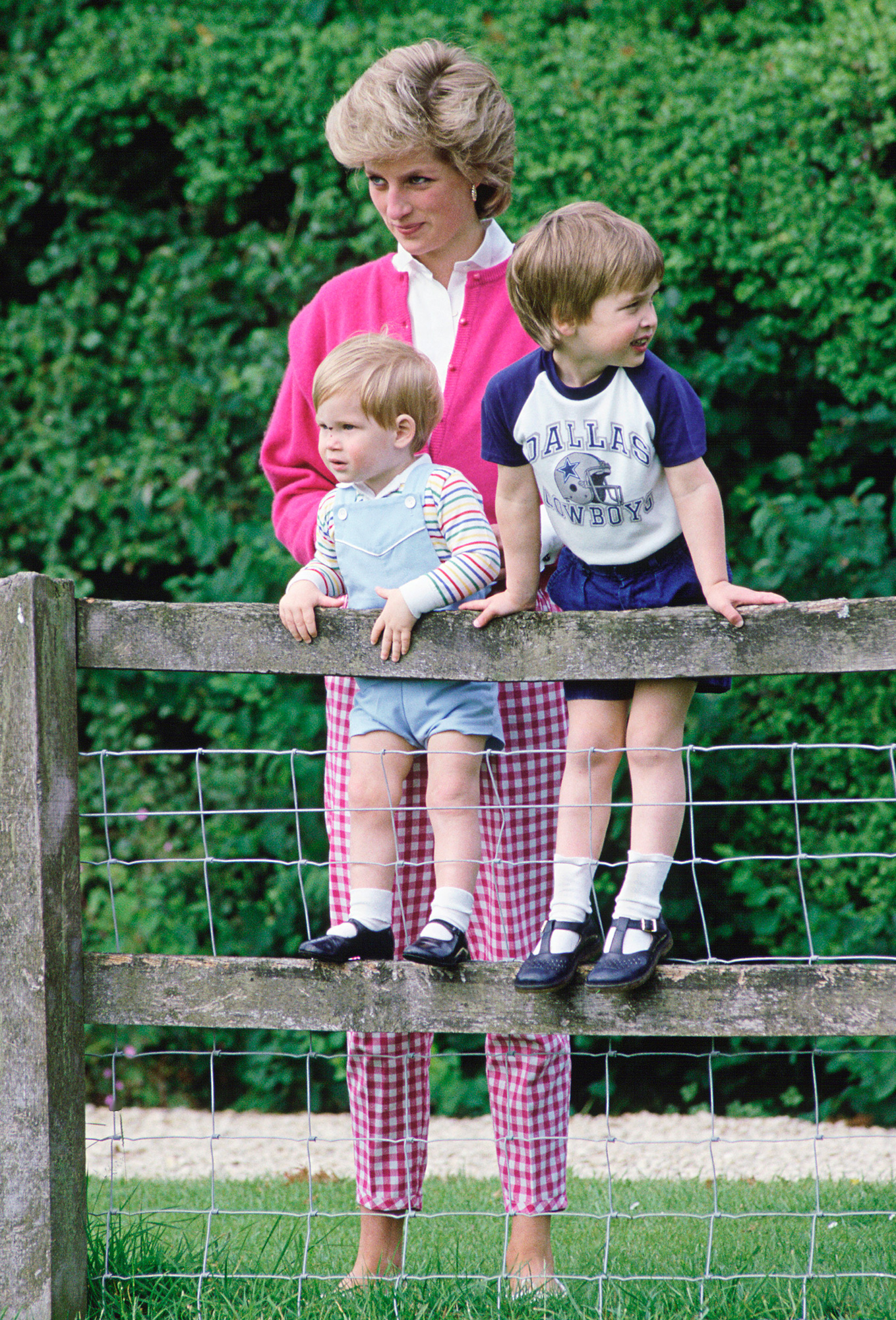 Princess Diana, Prince William and Prince Harry