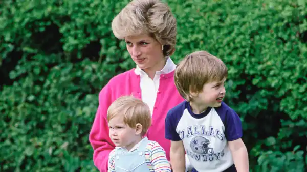 Princess Diana, Prince William and Prince Harry