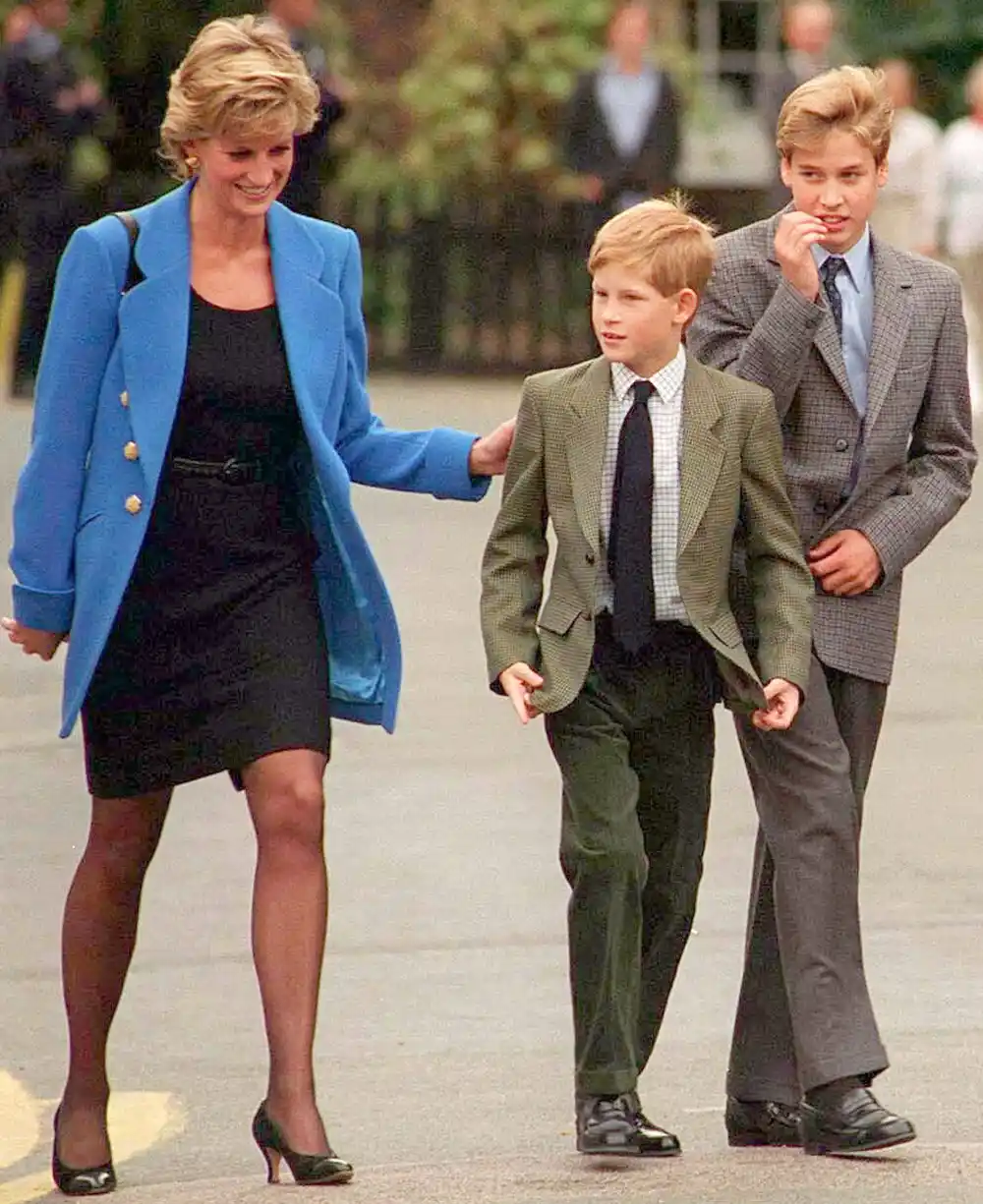Princess Diana, Prince Harry and Prince William