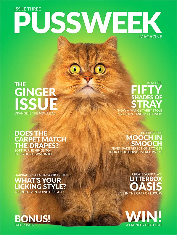 Pussweek Magazine