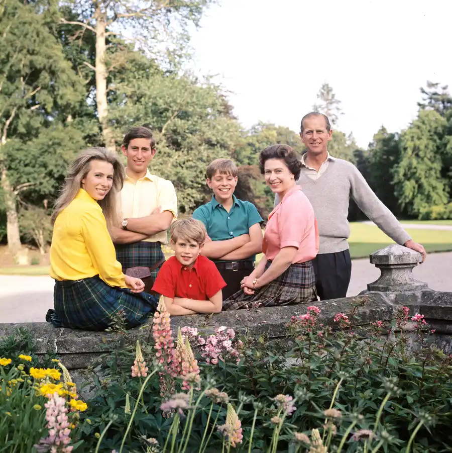 Qe_family d6c2ed61 3ea0 41e1 a028 718a782bd8c7