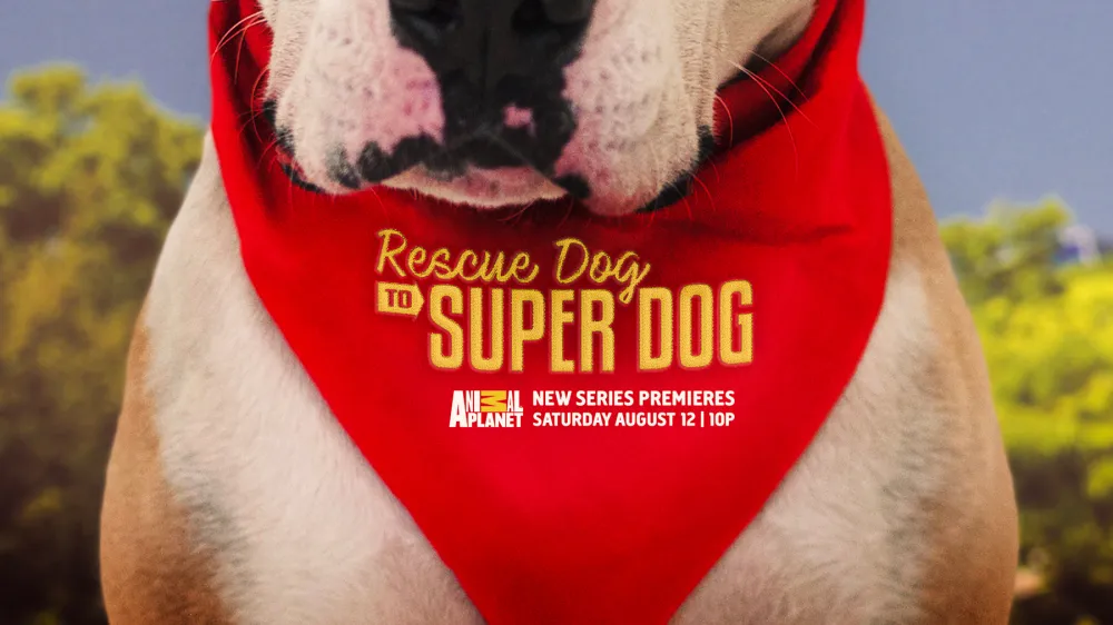 Rescue Dog to Super Dog