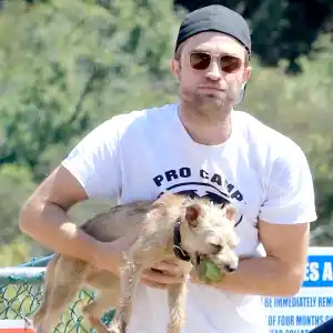 Rob pattinson dog adcbd6b6 71d3 46bd be22 6950286dedf3
