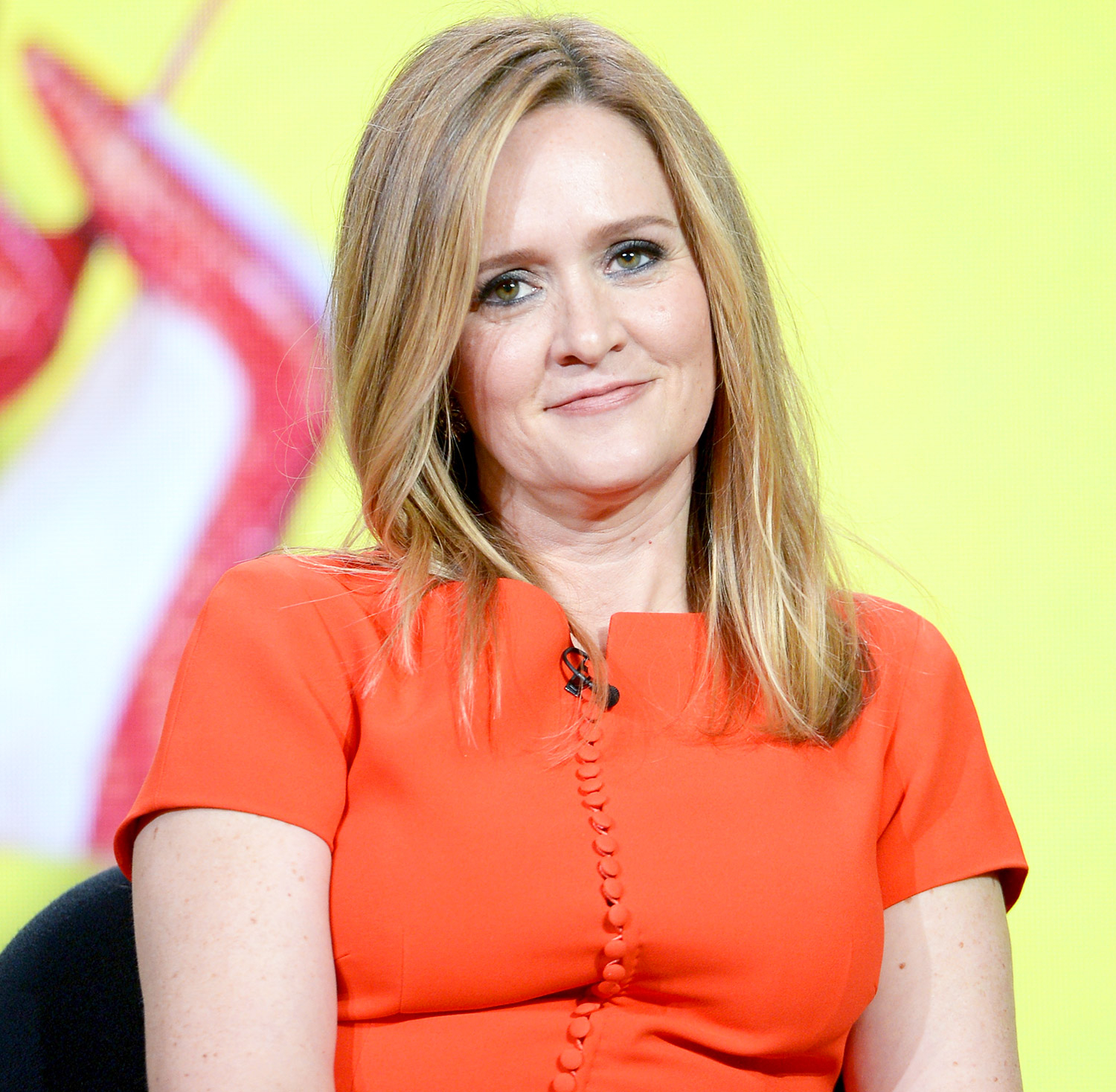 Samantha bee e1208a7d 68dd 4587 a463 909a07dd77dc