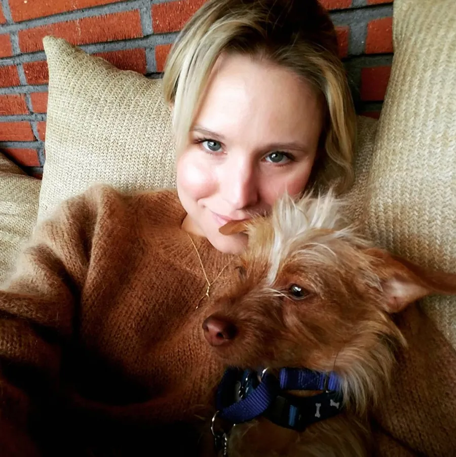 Screen shot 2017 04 13 at 113937 am 1357239b a9e4 4574 9614 e72c9c6abc9a