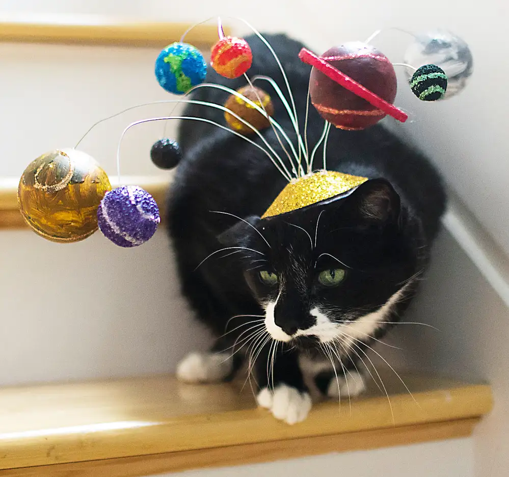 Solar system cat fascinator