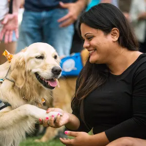 Therapy dog orlando 225138a2 817d 440d 8e71 9f924a61e526