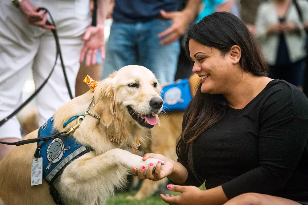 therapy dog after Orlando massacre