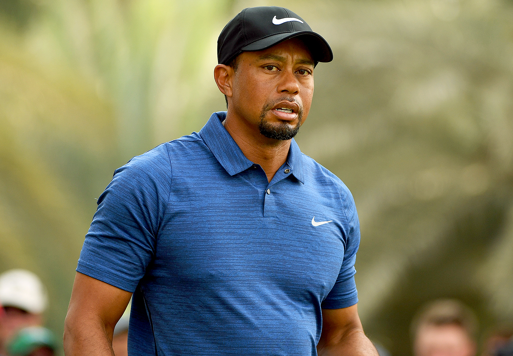 Tiger woods 65308816 bf97 4744 9947 423fa3ac5f48