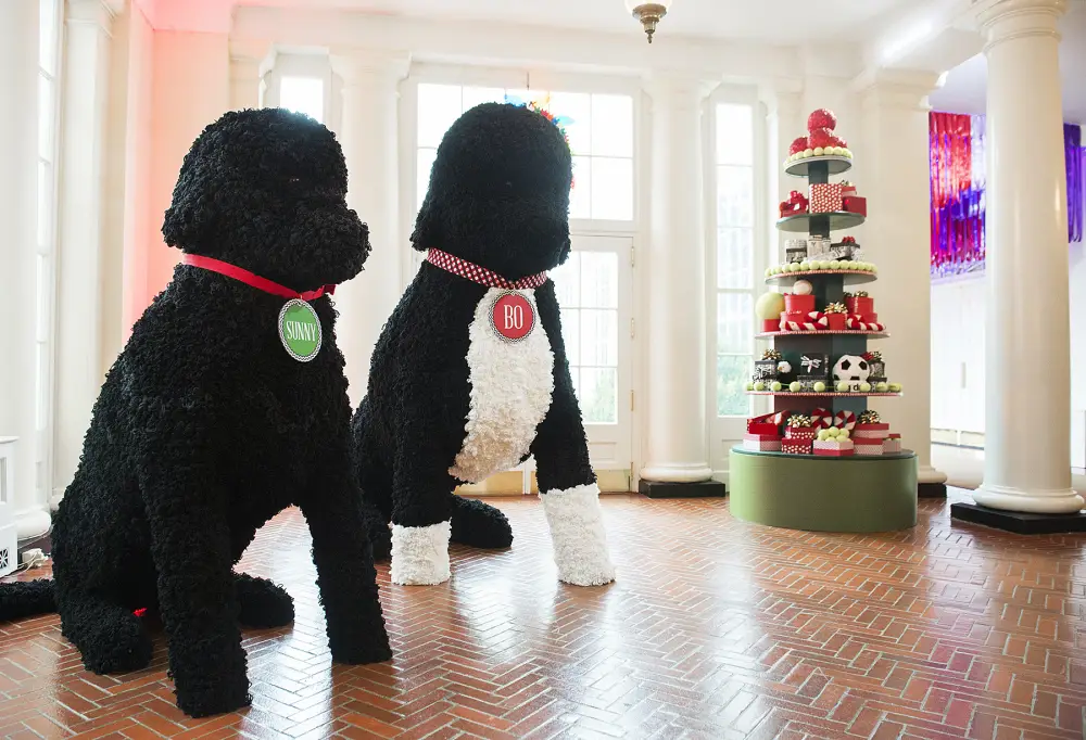 White House Christmas decorations tree