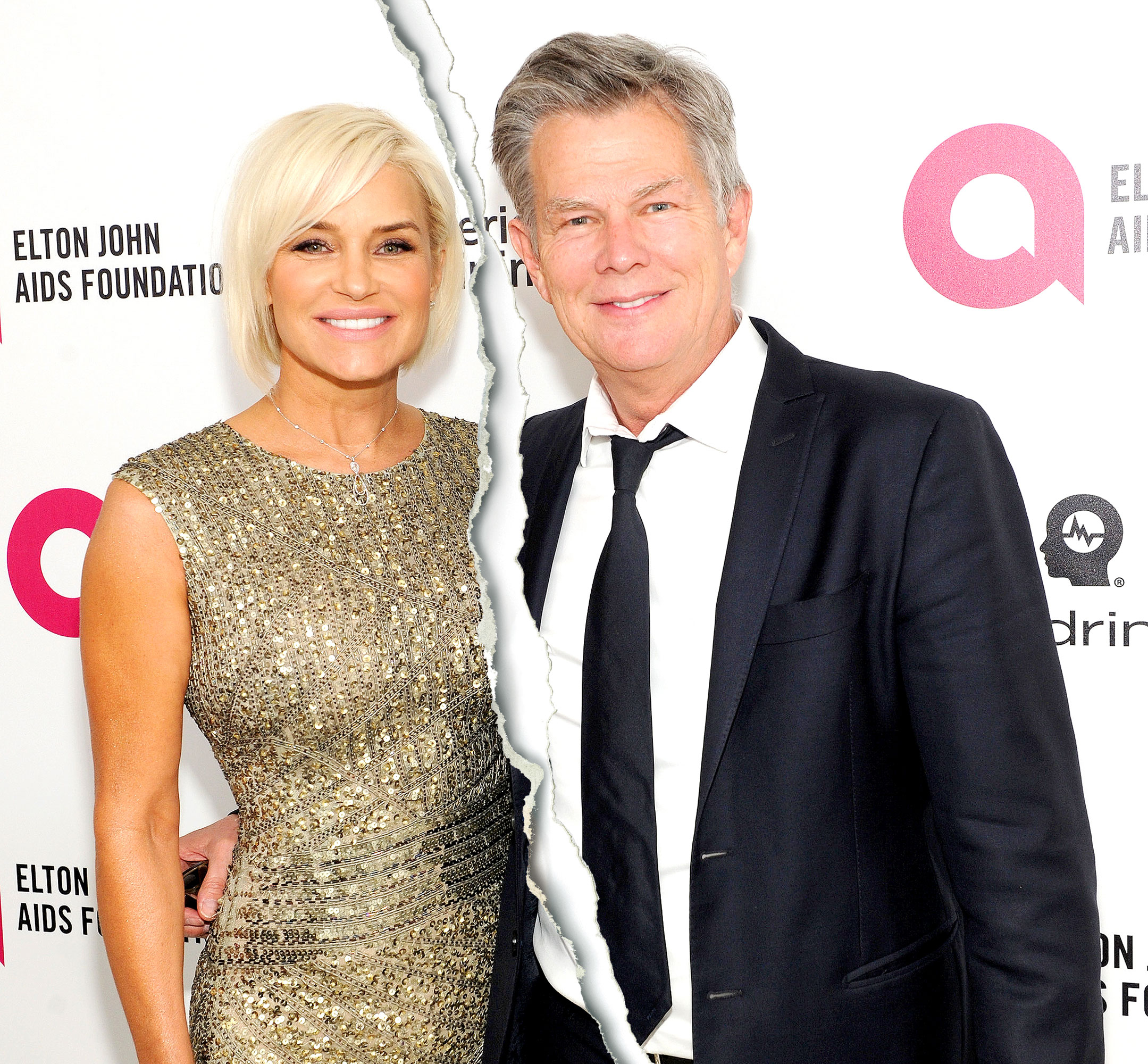 Yolanda Foster DAvid
