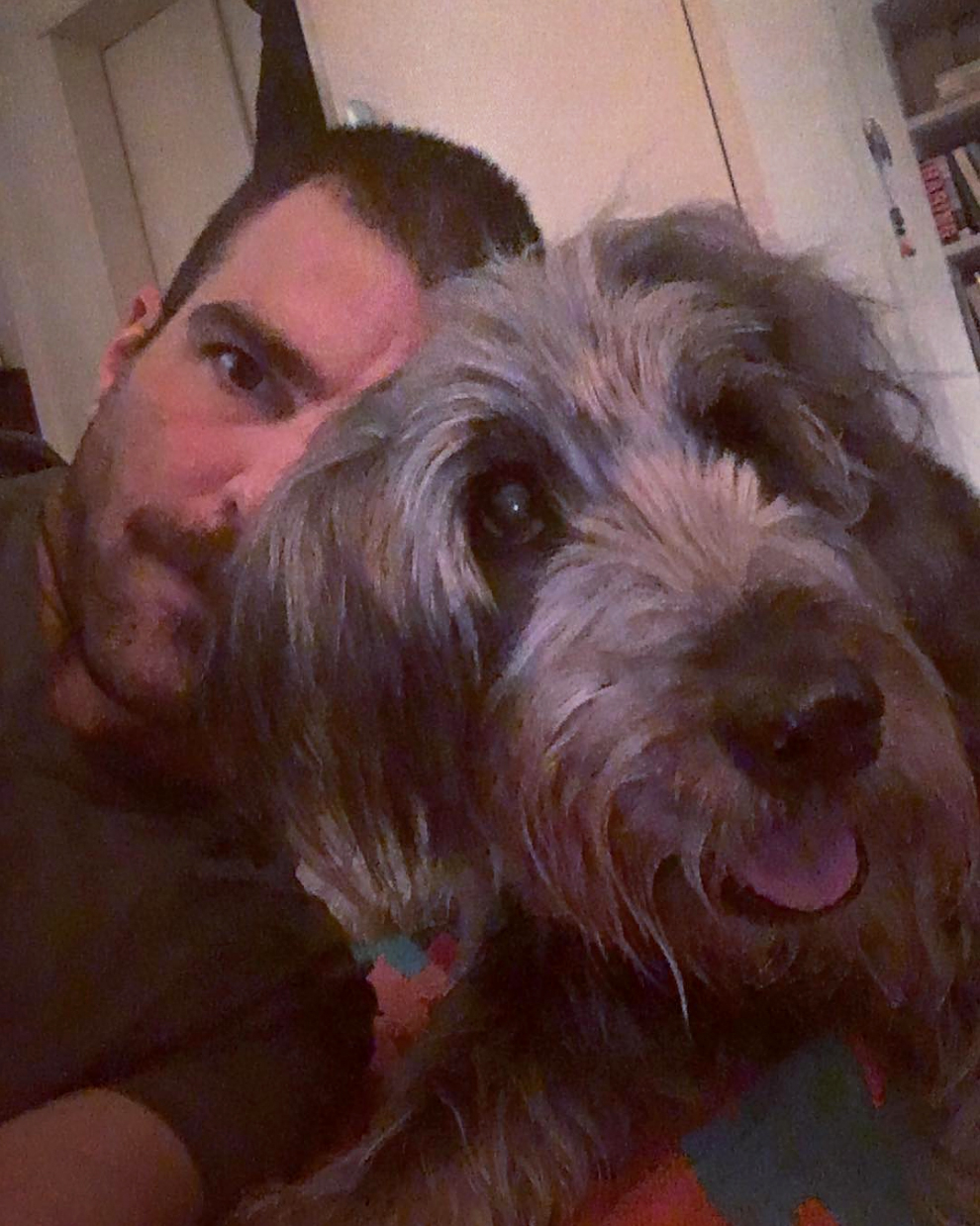 Zachary Quinto Noah dog