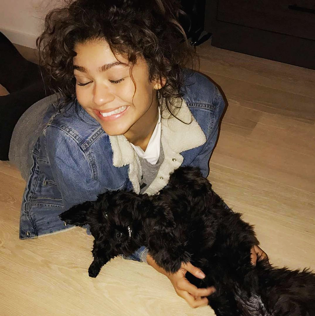 Zendaya puppy