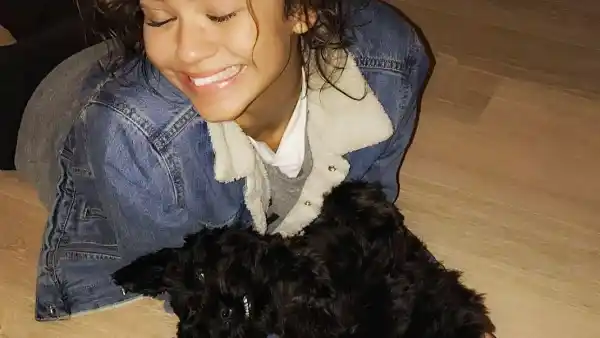 Zendaya puppy